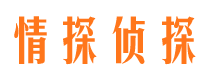 桐城市婚外情调查